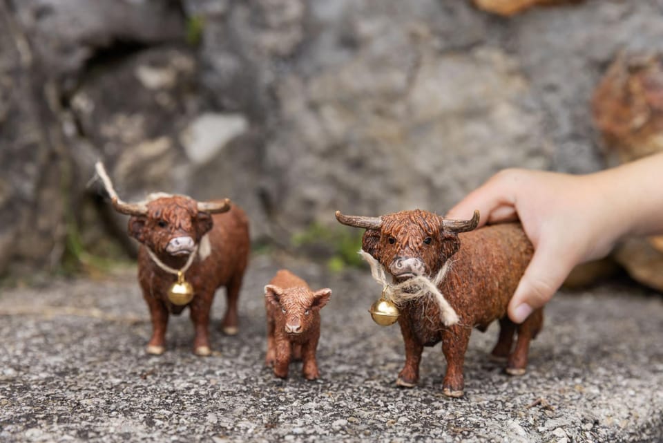 Animals