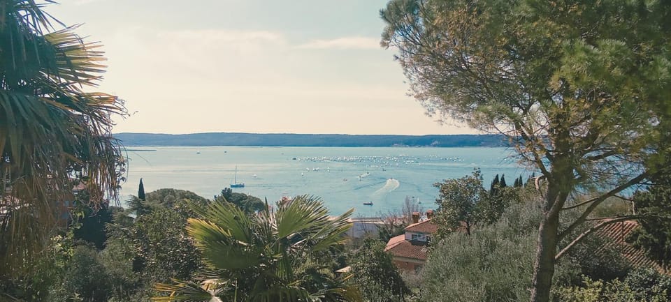 Seaview Oasis Apartment in Portorož