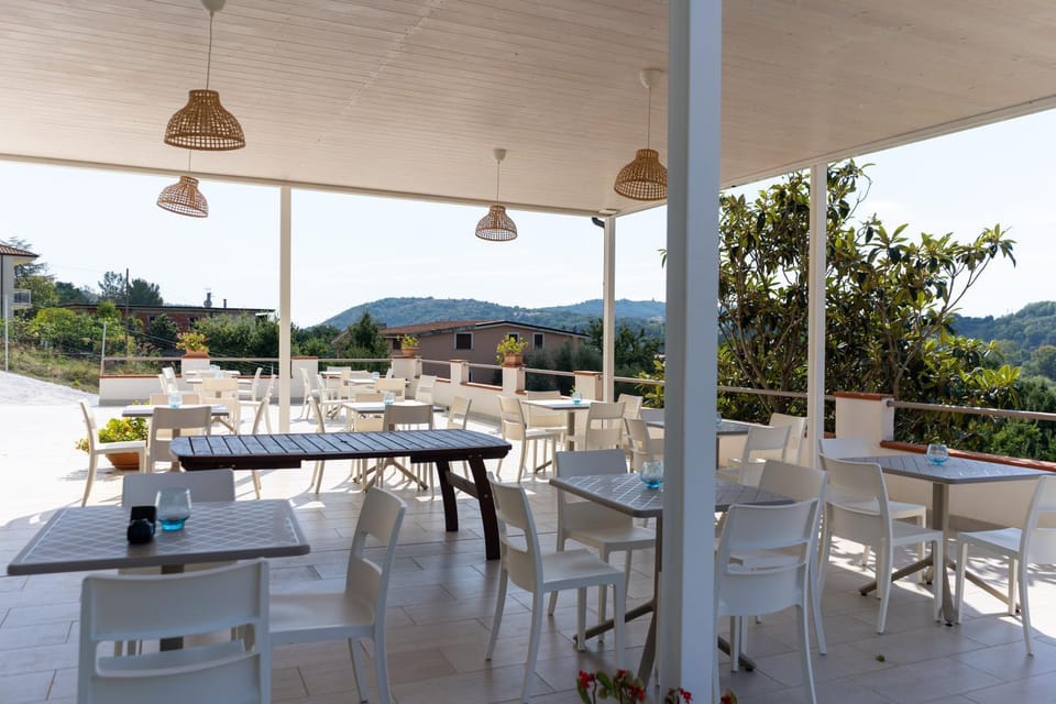 Patio, Restaurant/places to eat, Day, Natural landscape, Dining area, Breakfast
