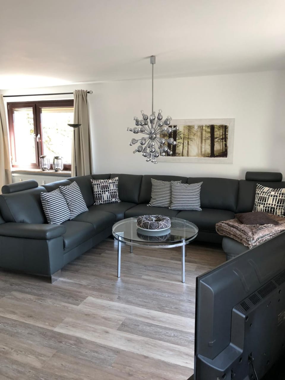 Photo of the whole room