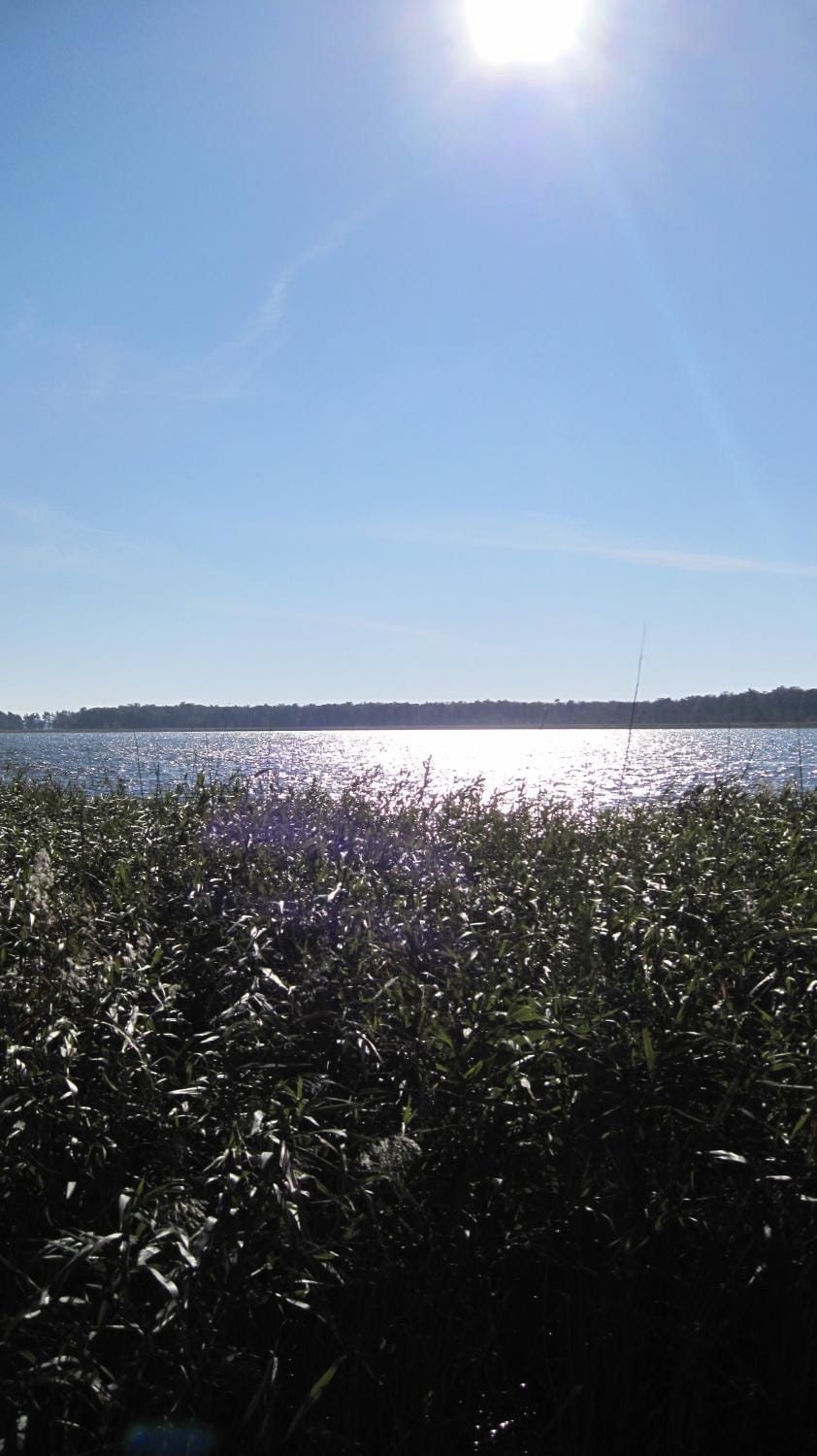 Day, Natural landscape