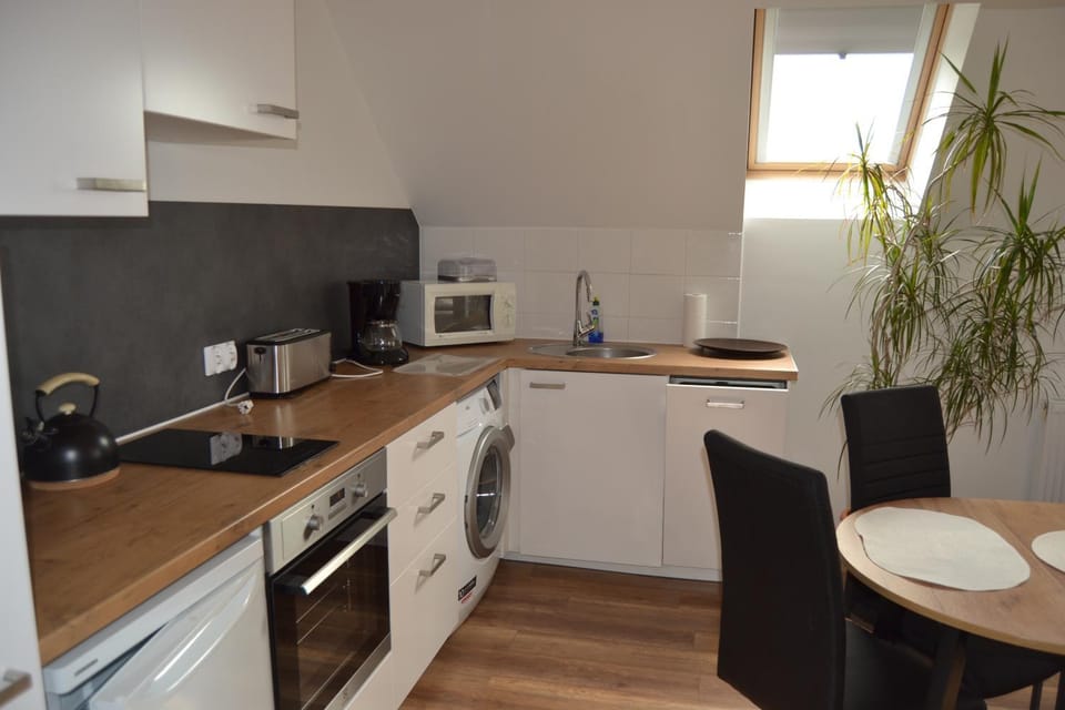 Kitchen or kitchenette, dishwasher, minibar, stove, toaster, washing machine, kitchen
