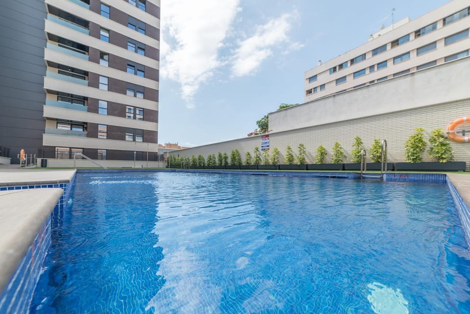 Swimming pool, Swimming pool