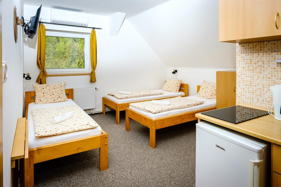 Bed, Kitchen or kitchenette, Photo of the whole room