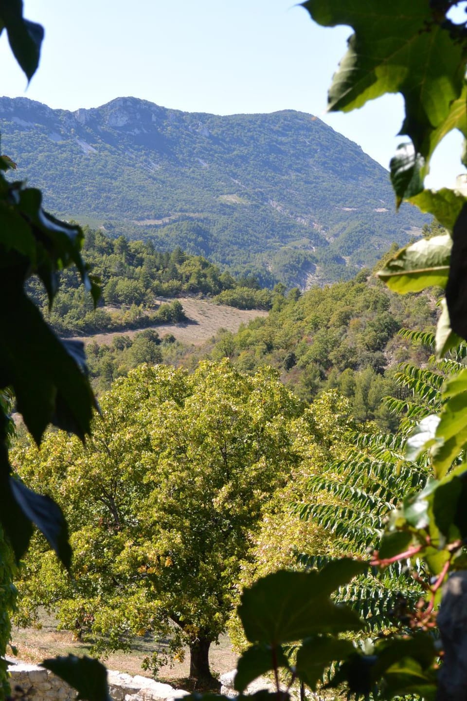 chambres d'hotes Vacation rental in Buis-les-Baronnies