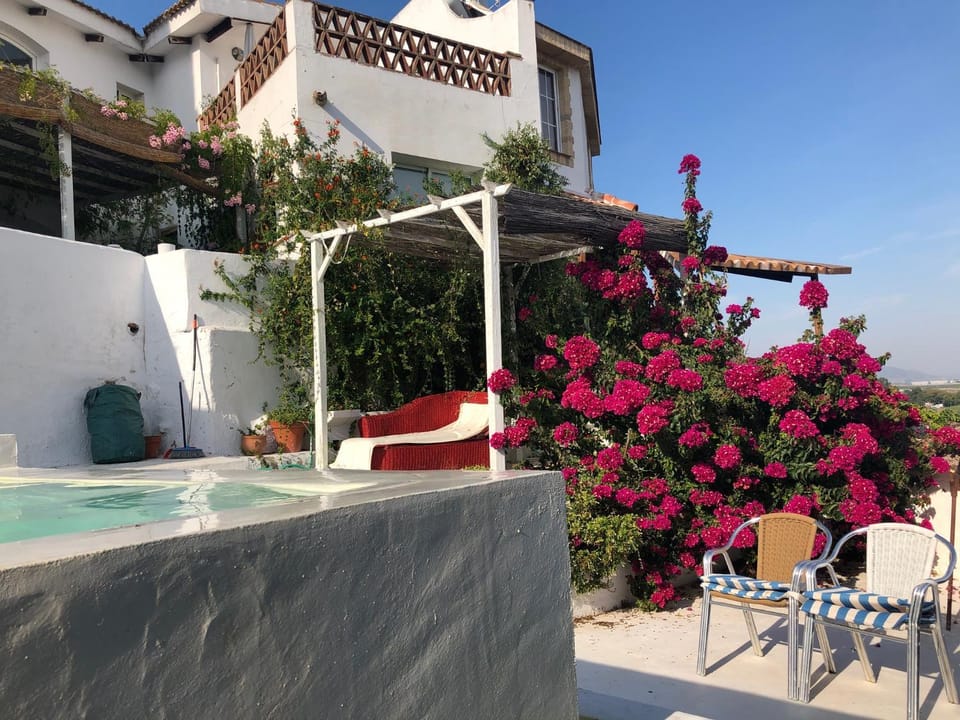 Garden, Swimming pool