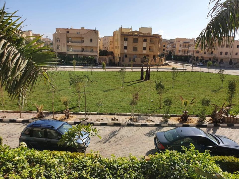 Garden, Garden view, Street view