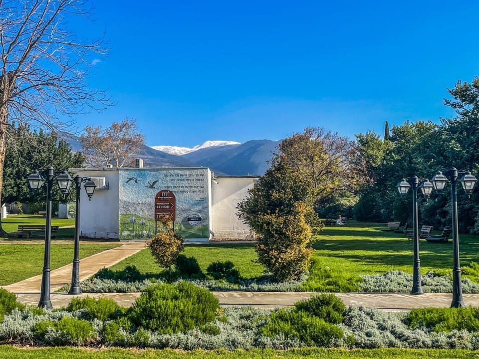 Natural landscape, Garden, Mountain view