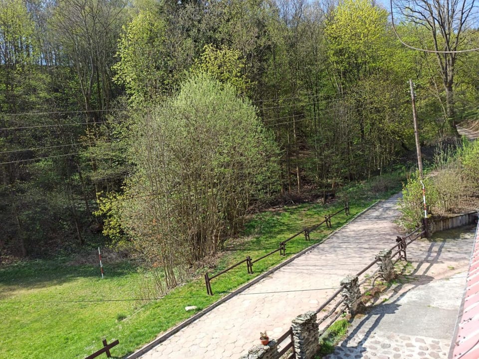 Natural landscape