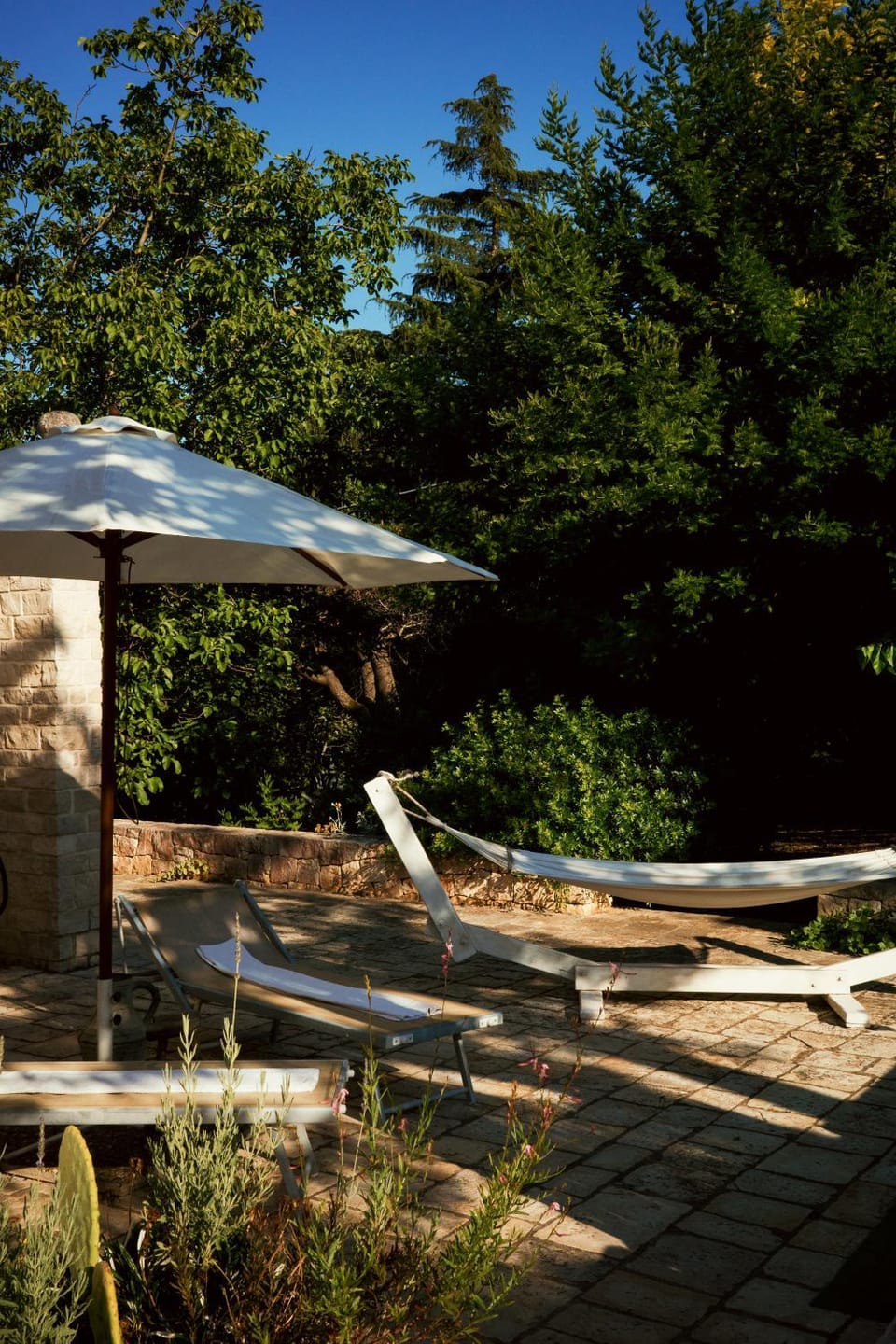 Garden, Solarium