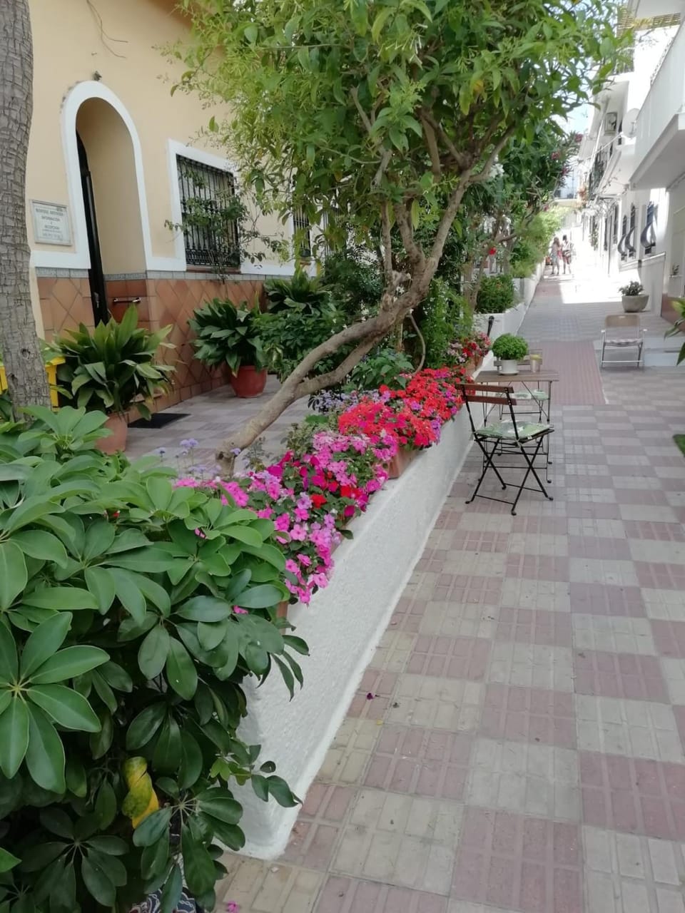 Hotel Avenida 31 Hotel in San Pedro de Alcántara