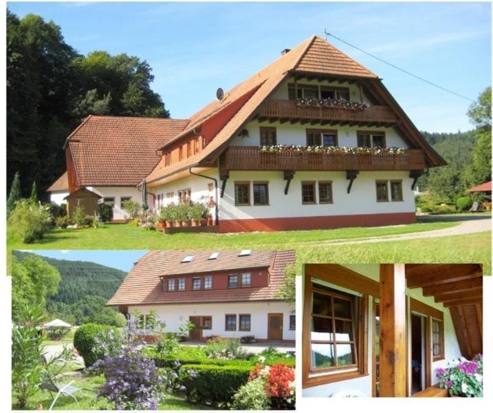 Hof hinter der Mühle Apartment in Ortenau