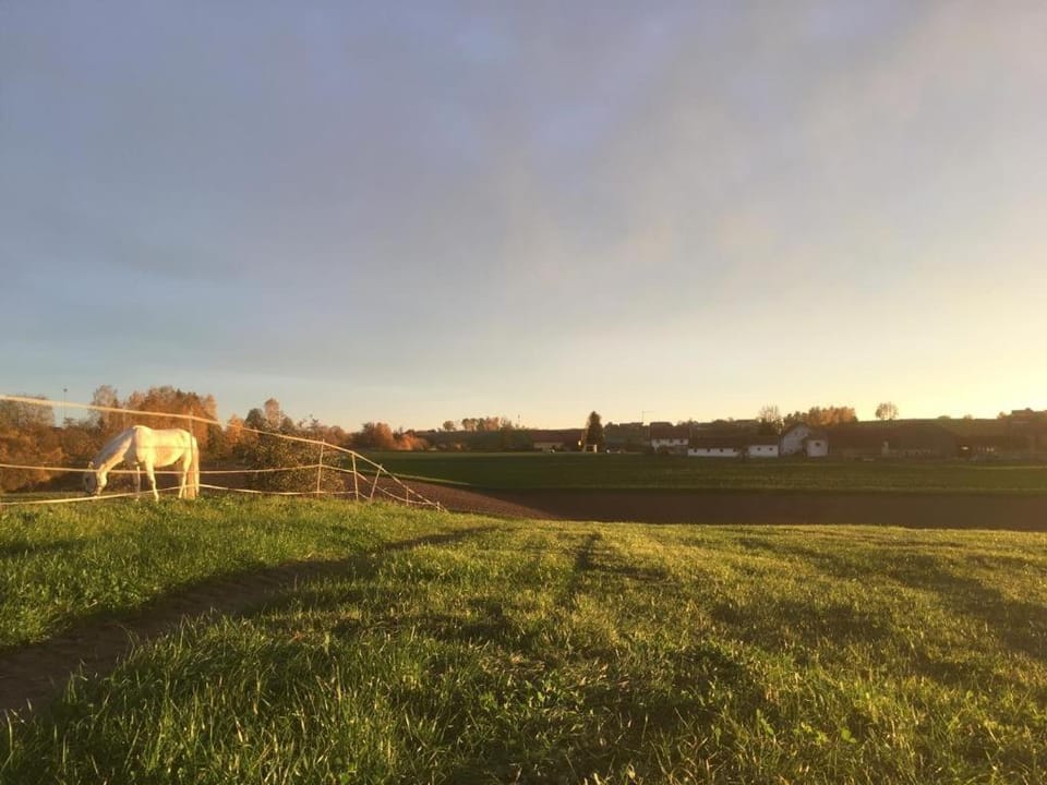 Natural landscape