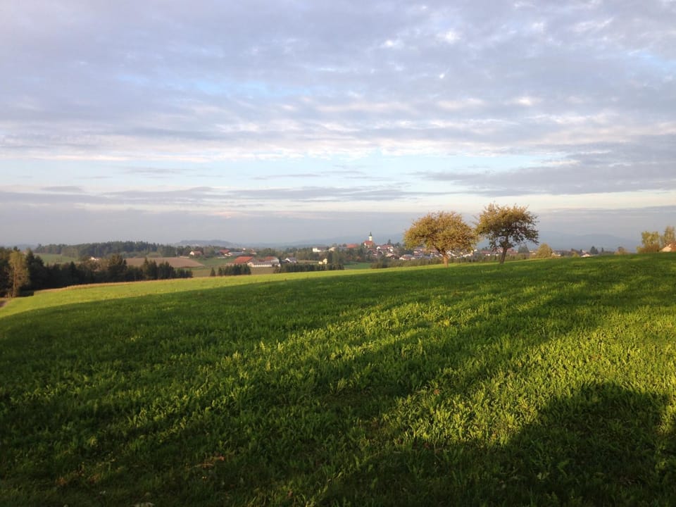 Natural landscape