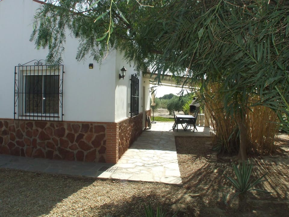 Property building, Patio, Spring, Garden