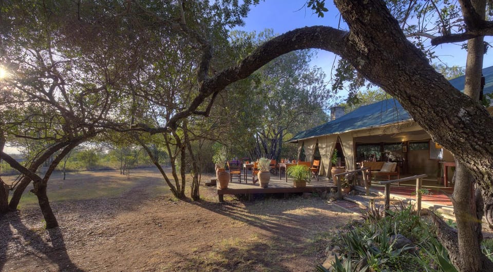 Natural landscape, Lounge or bar, Dining area