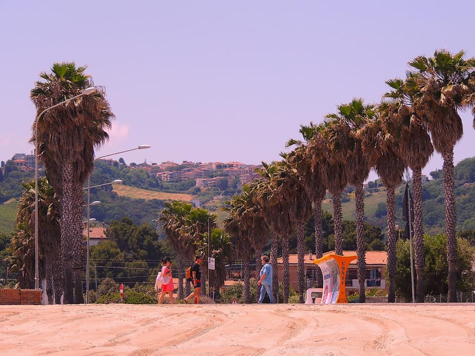 Natural landscape, Street view
