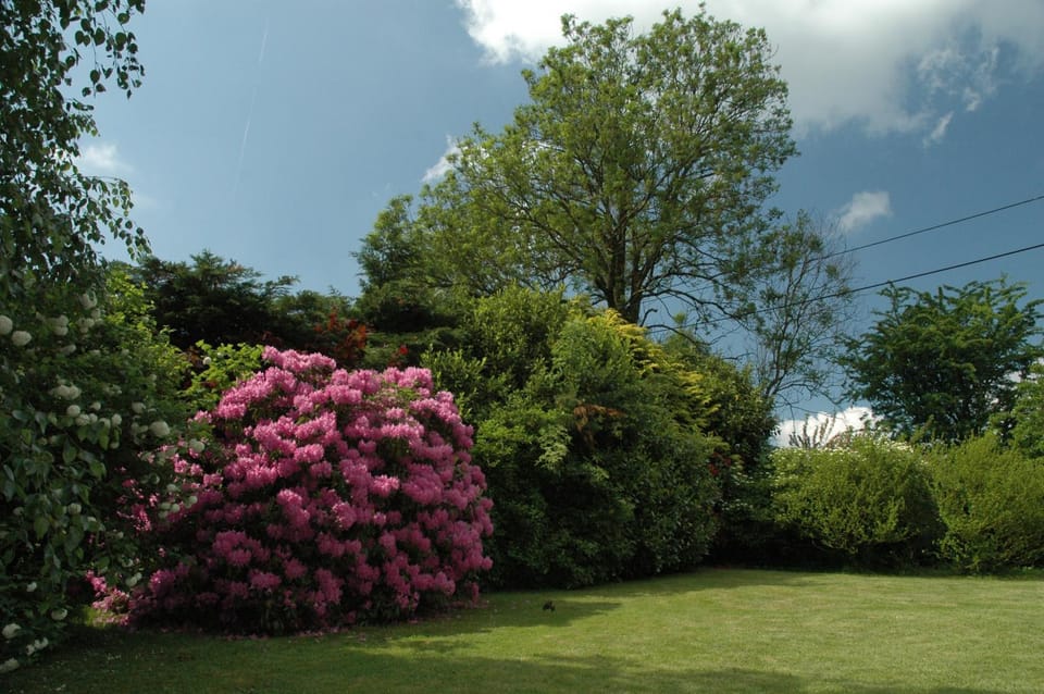 Ferme du Banoyard Bed and Breakfast in Wallonia, Belgium