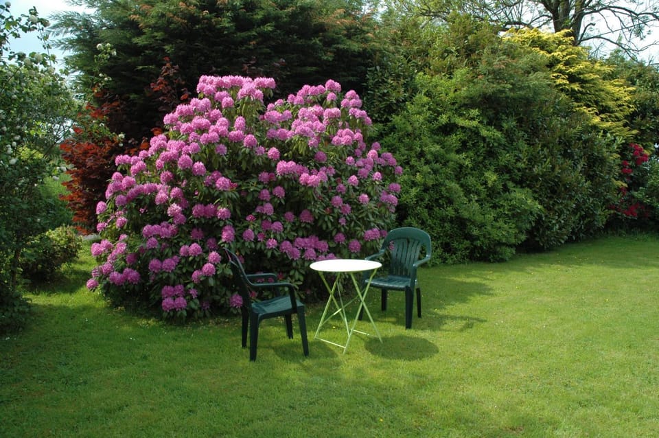 Ferme du Banoyard Bed and Breakfast in Wallonia, Belgium