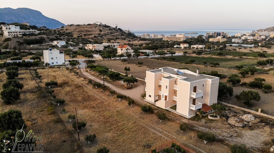 Olive Epavlis Apartment in Karpathos