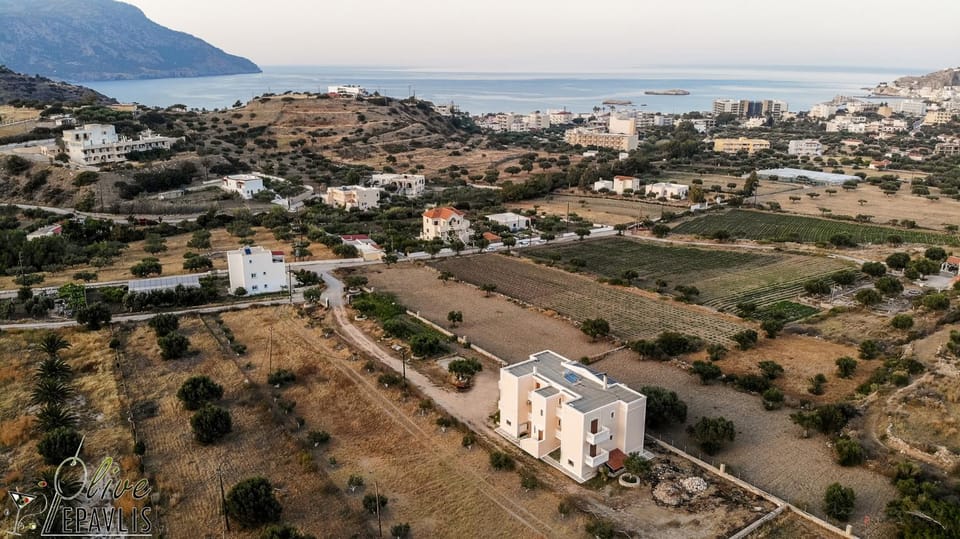 Olive Epavlis Apartment in Karpathos