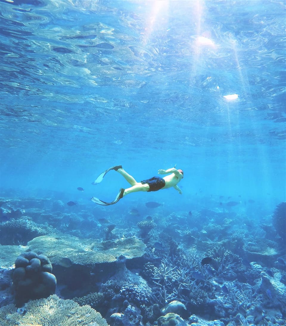 Diving