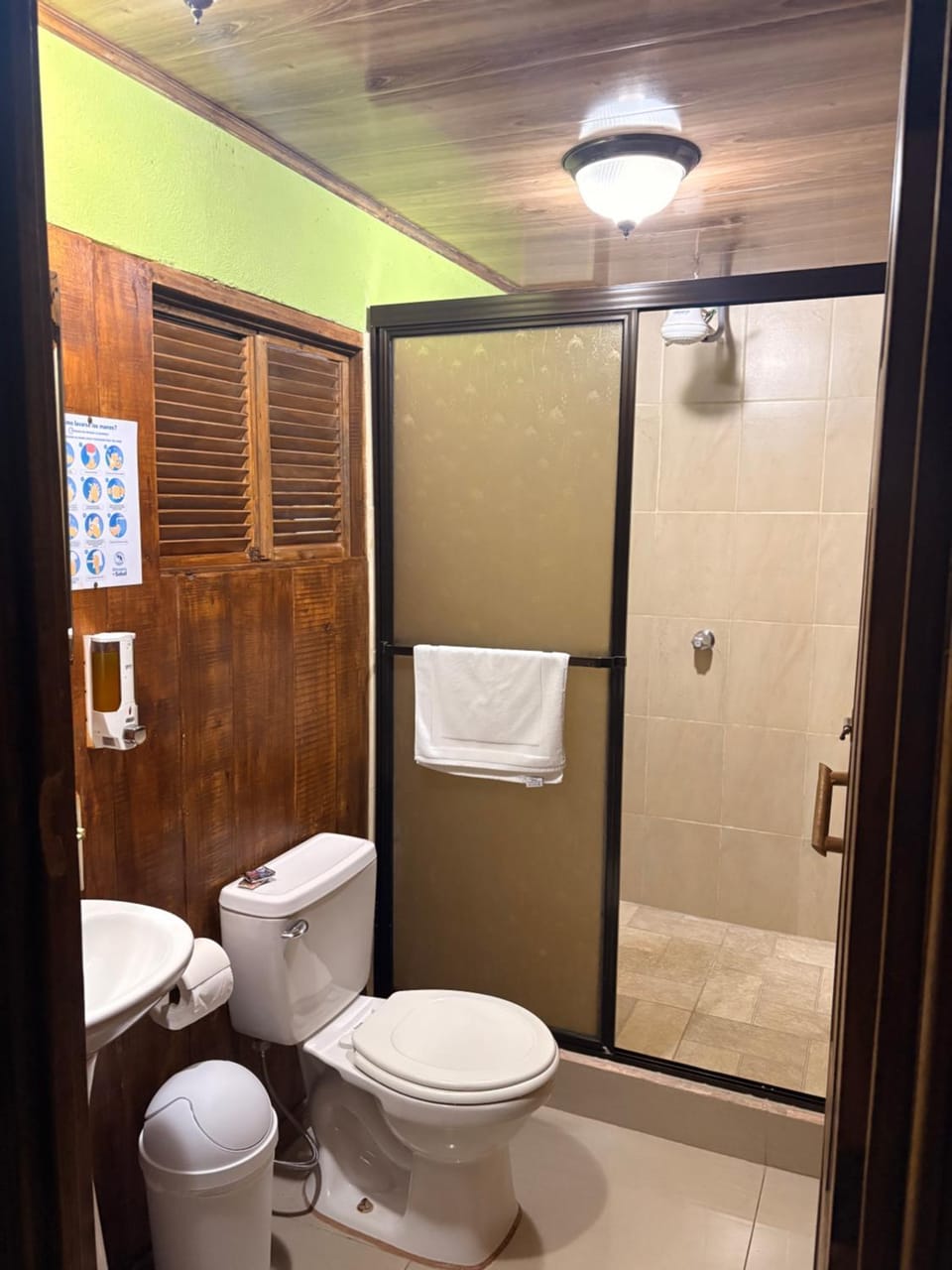 Shower, Toilet, Bathroom, towels