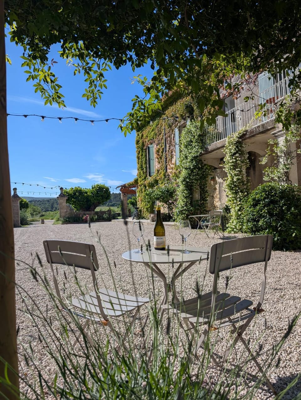 Property building, Garden, Garden view