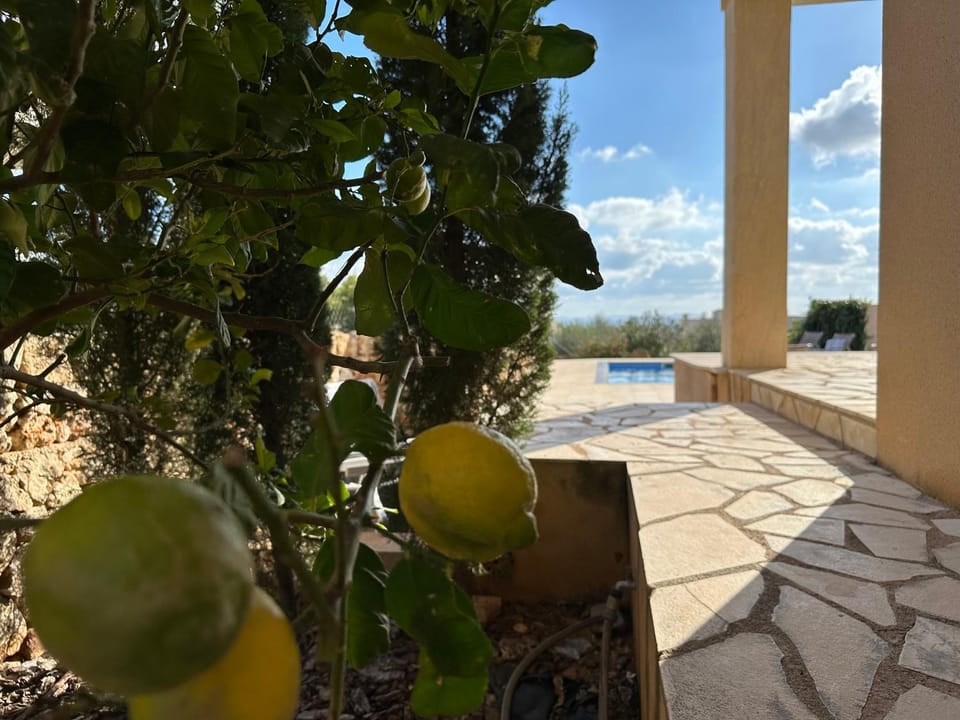 Garden, Balcony/Terrace, Garden view, Pool view, Swimming pool