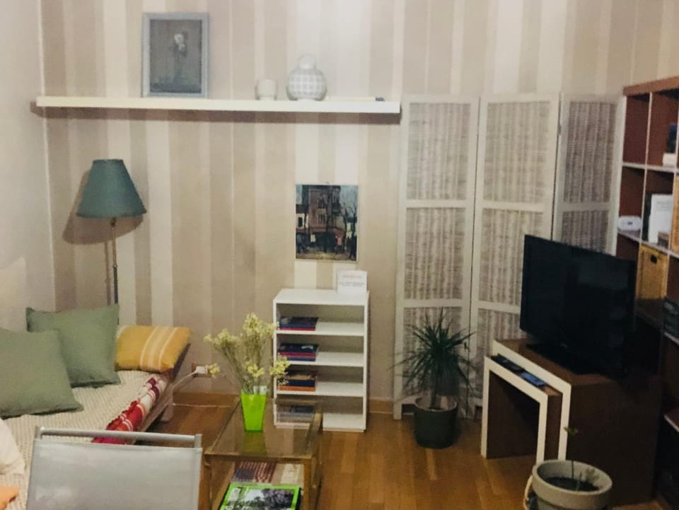 Library, TV and multimedia, Living room, Seating area, Evening entertainment