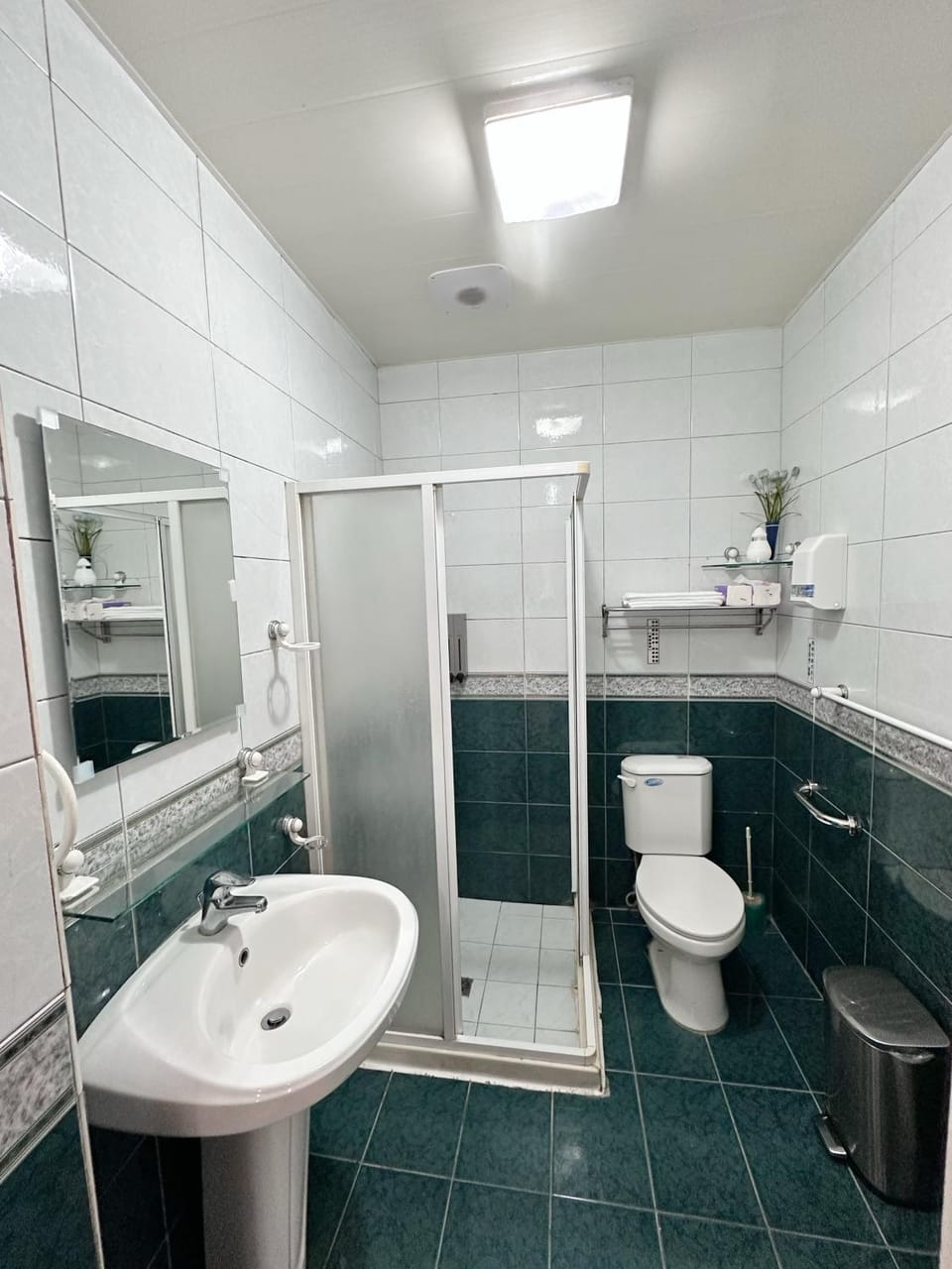 Shower, Toilet, Bathroom, towels