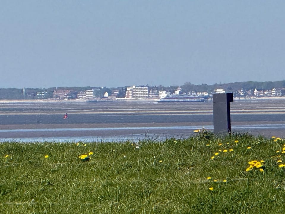 Landmark view