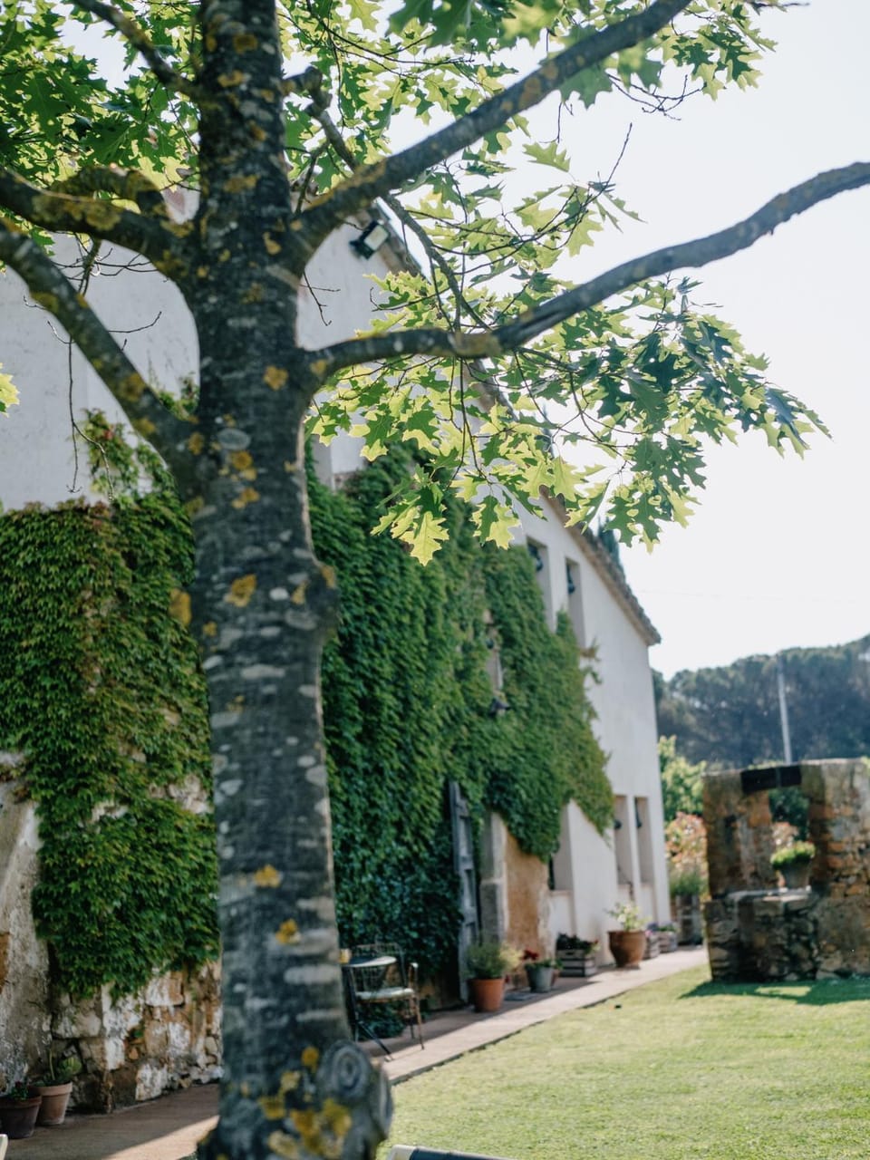 Property building, Natural landscape, Garden view