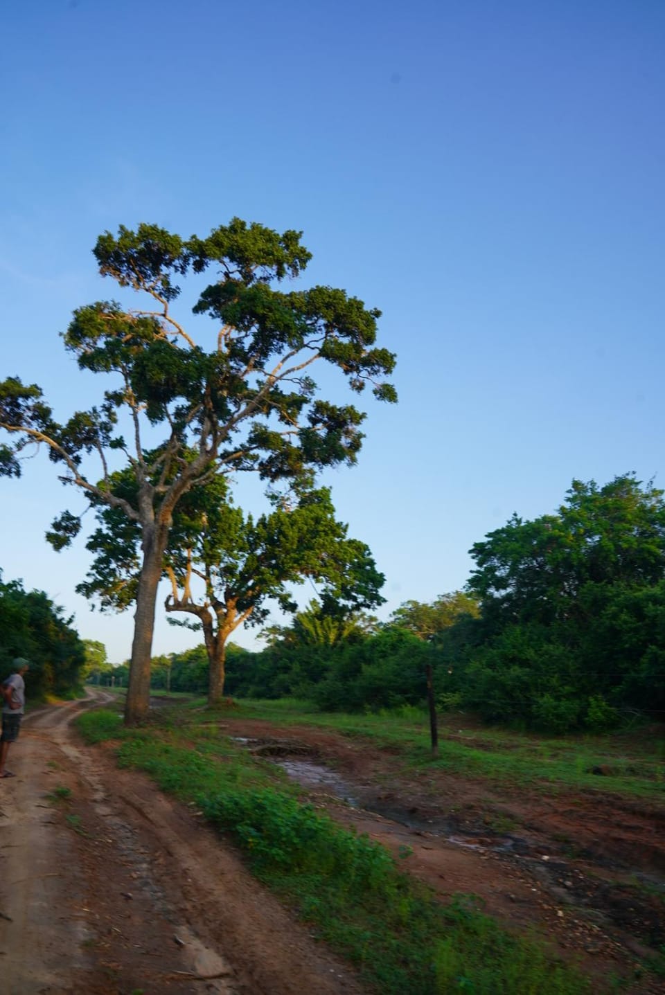 Yala Wild House Campground/ 
RV Resort in Southern Province
