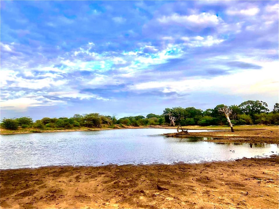 Yala Wild House Campground/ 
RV Resort in Southern Province
