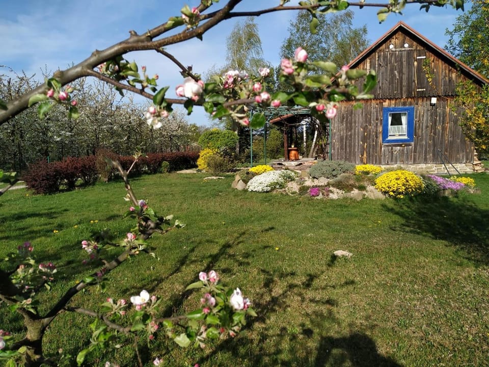 Property building, Spring, Day, Natural landscape, Garden, Garden view