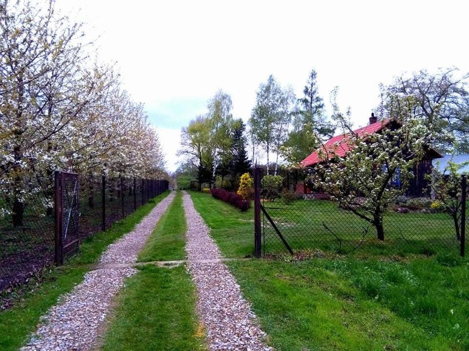 Spring, Day, Natural landscape, Garden, Garden view