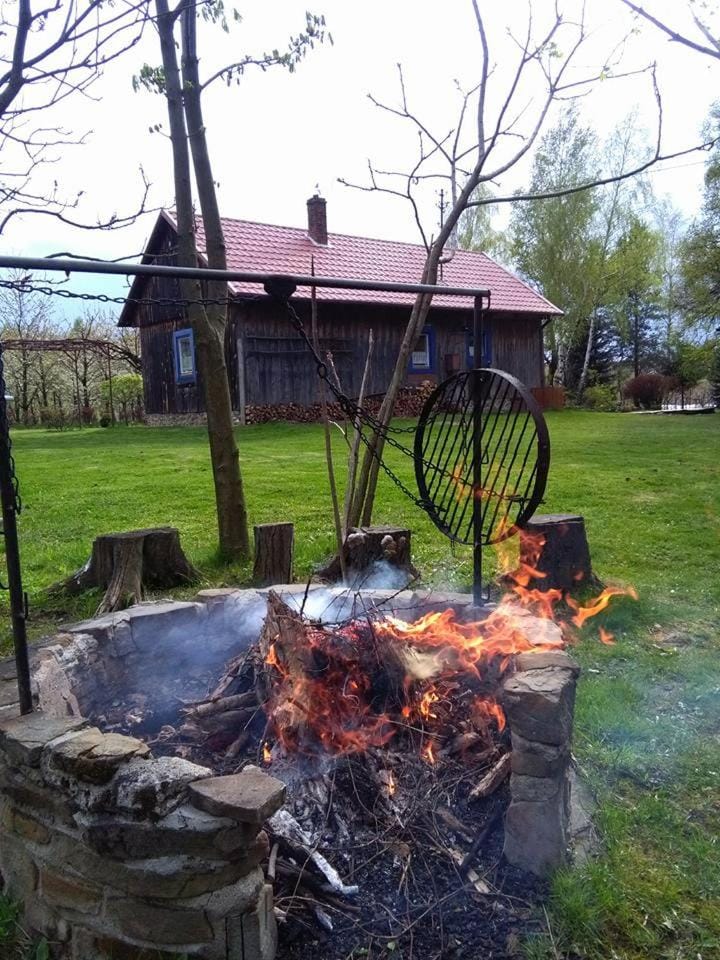 Spring, Day, Garden, Garden view