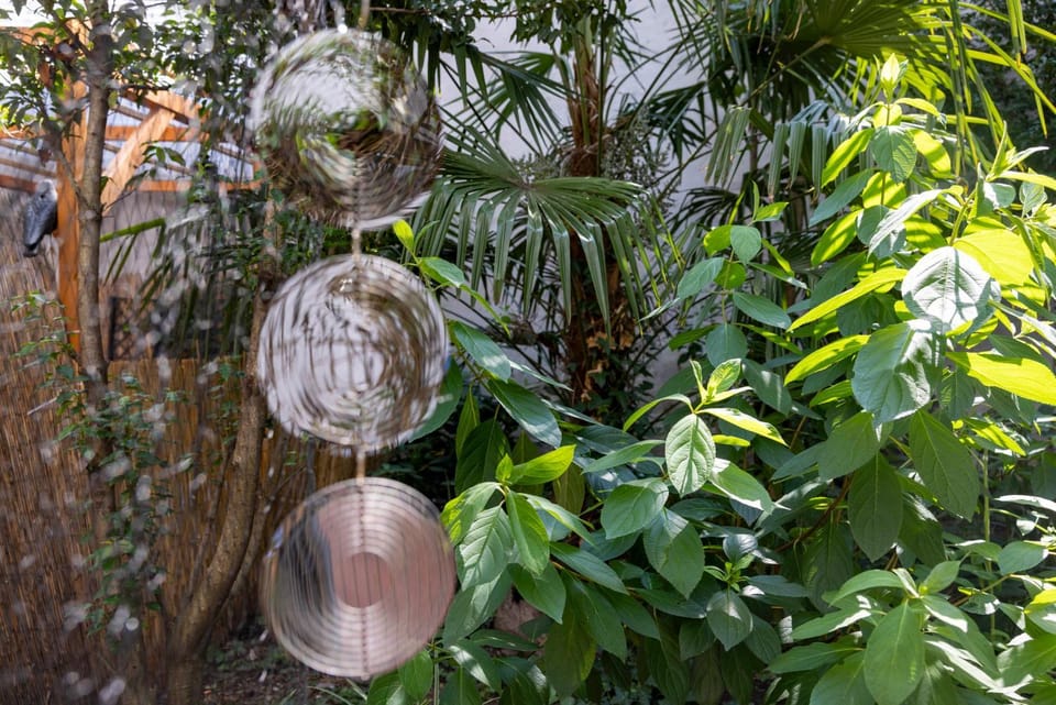 Garden, Garden, Garden view, Garden view