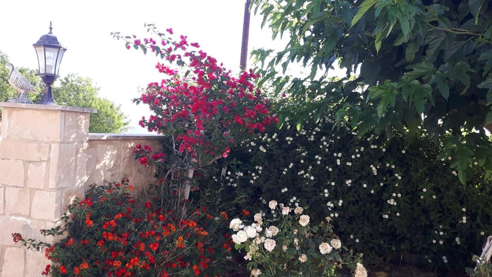 Property building, Garden view