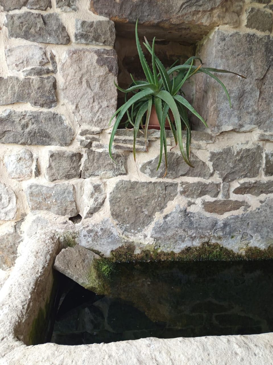 Cabaña Pasiega Única Country House in Cantabria