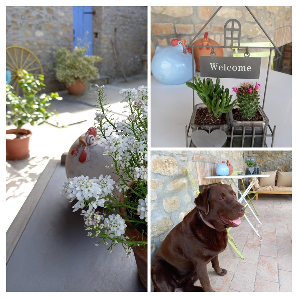 La Pomella House in Lombardy