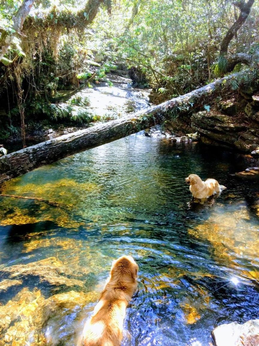 Hiking