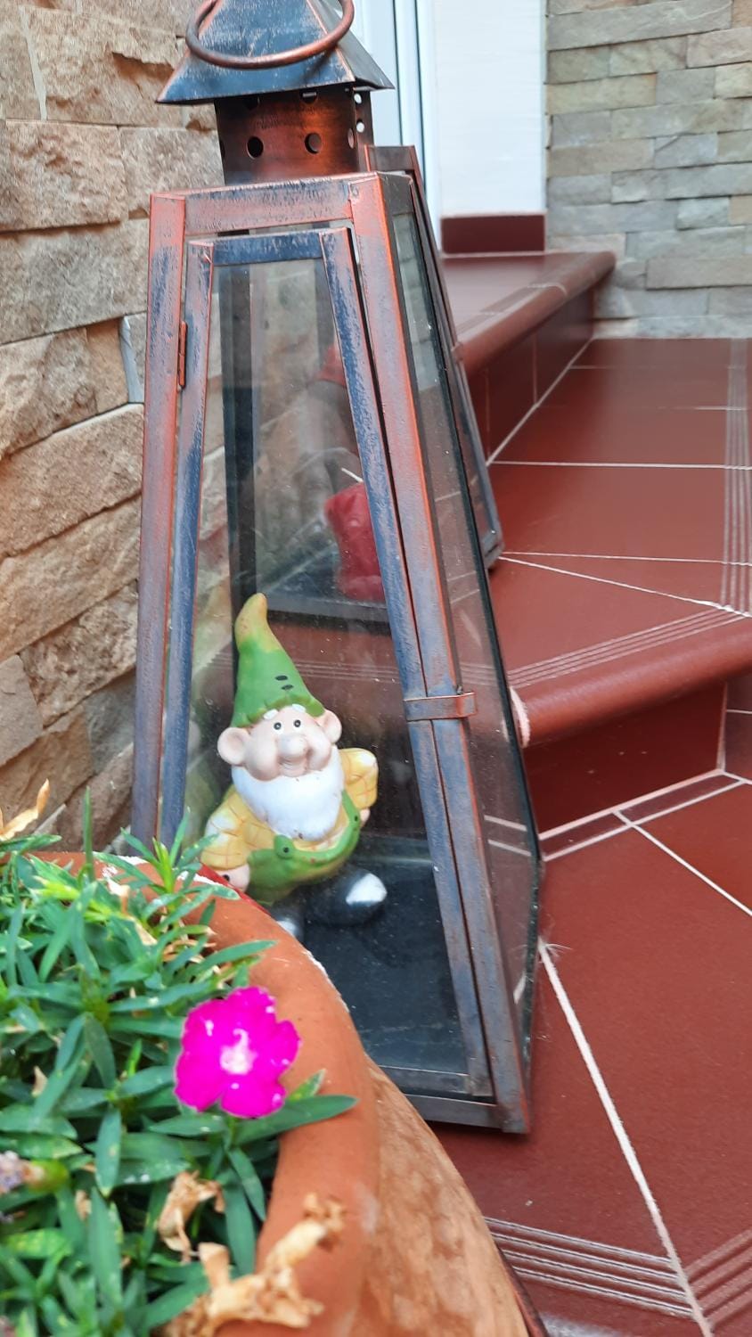 Garden, Internal: Not applicable to any particular room