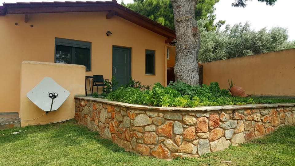 Day, Garden, Garden view