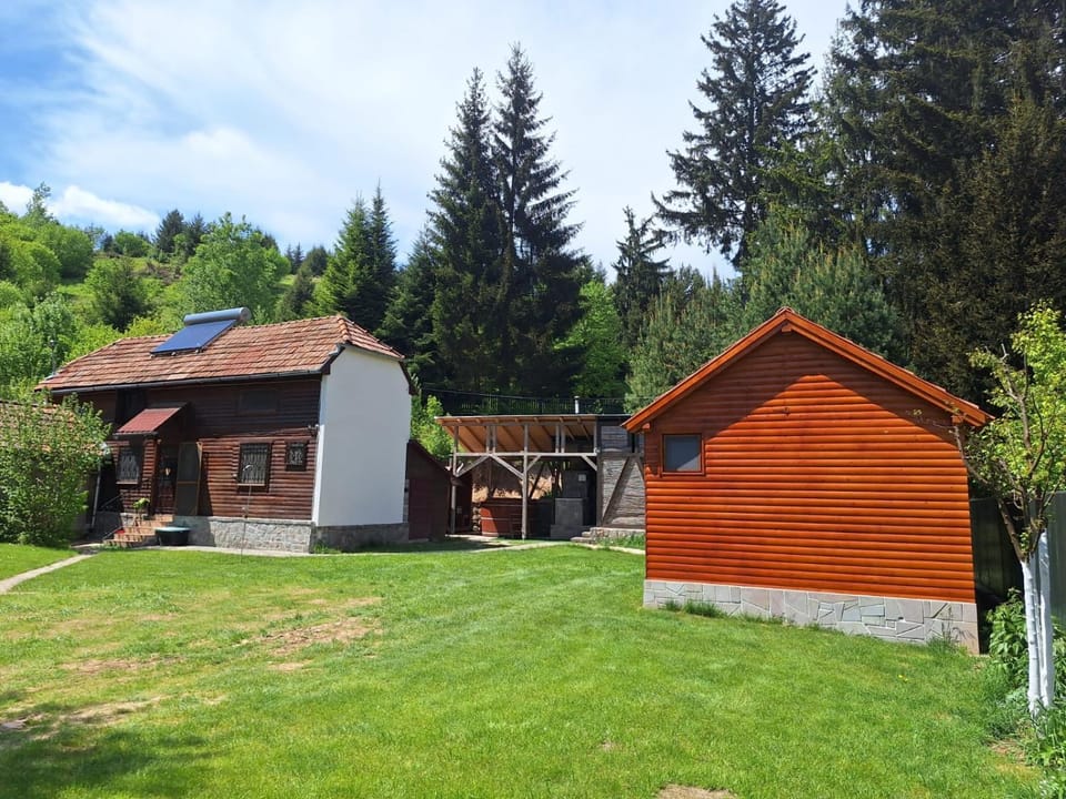 Property building, Natural landscape, Garden, Garden view