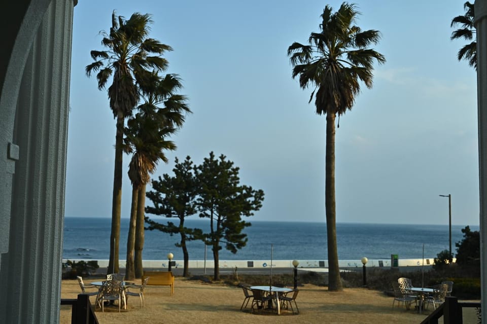 Natural landscape, View (from property/room), Beach