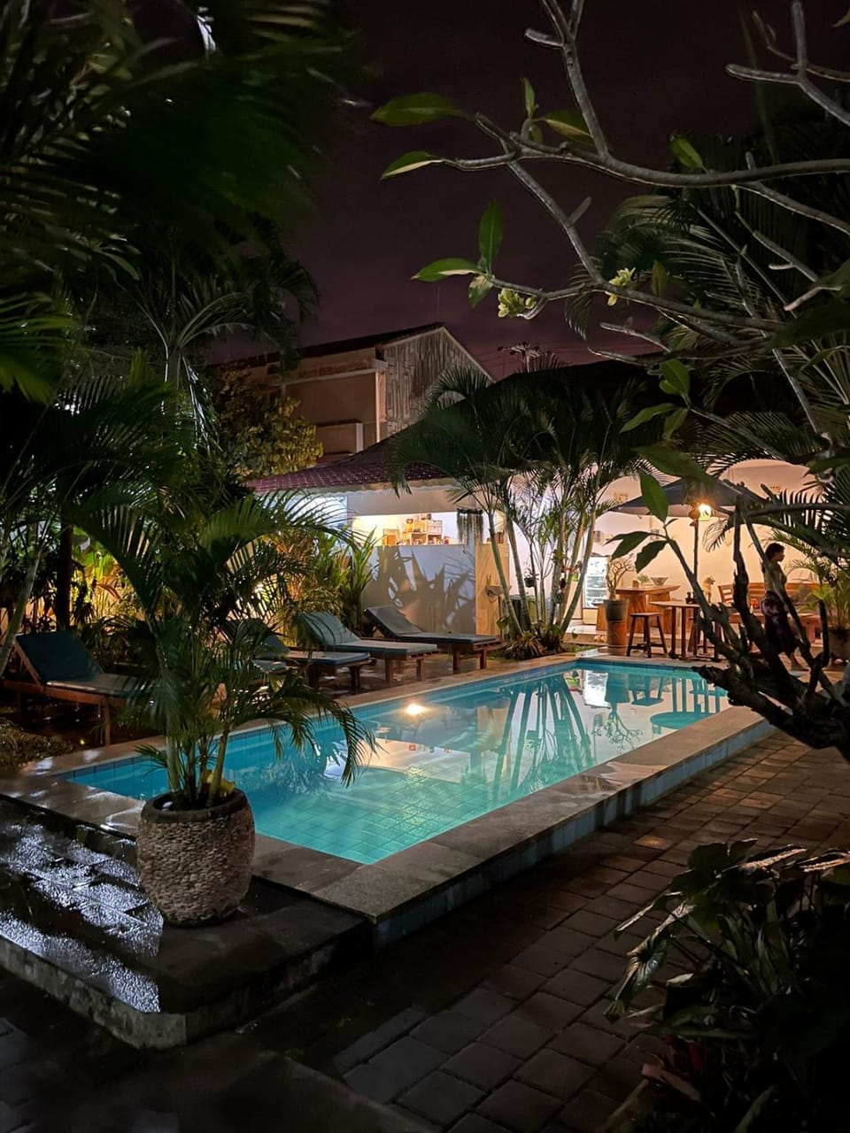 Night, Garden, Garden view, Pool view, Swimming pool