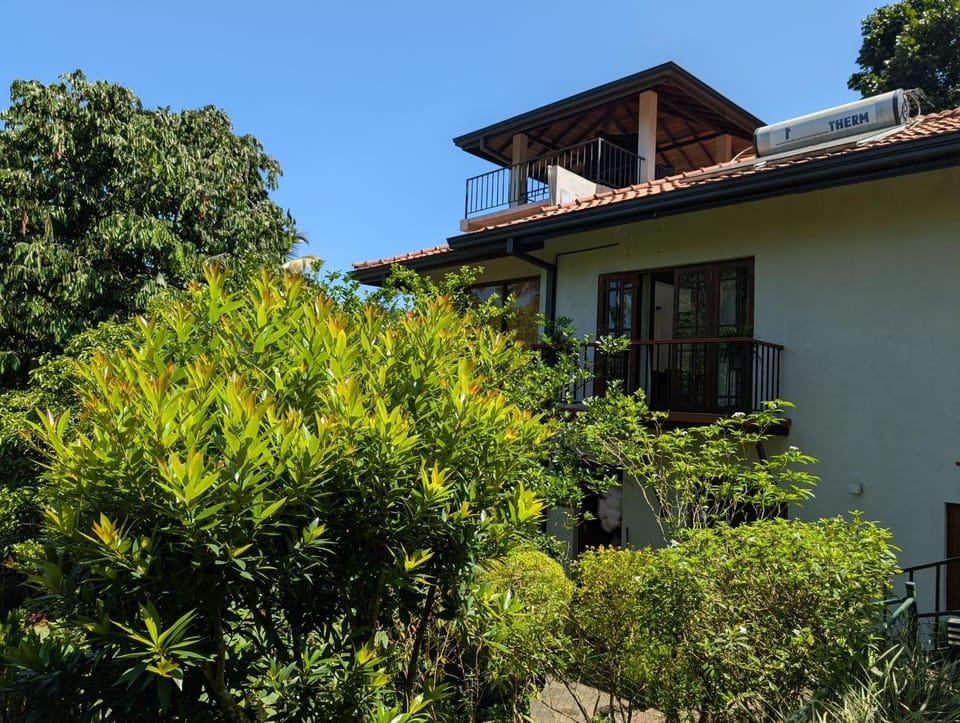 Property building, Garden view