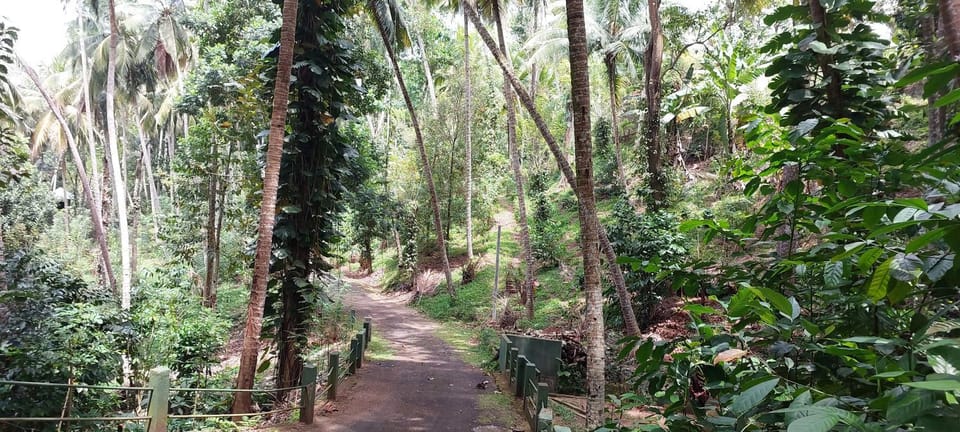 Natural landscape